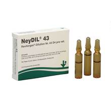 Abbildung: Neydil Nr.43 Revitorgan Dil.D 4 pro Ampullen vet. (für Tiere) 5X2 ml, Ampullen PZN 06487865 