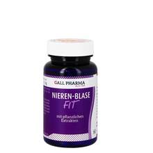 Abbildung: Nieren-Blasen-Fit Gph Kapseln 60 St, Kapseln PZN 06556750 