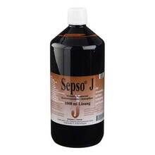 Abbildung: Sepso J Lösung 1000 ml, Lösung PZN 06612170 