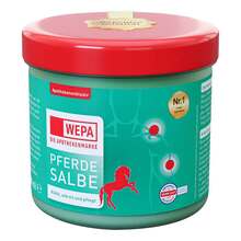 Abbildung: Pferdesalbe Wepa 250 ml, Salbe PZN 06828243 