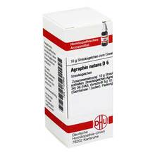 Abbildung: AGRAPHIS NUTANS D 6 Globuli 10 g, Globuli PZN 07157868 