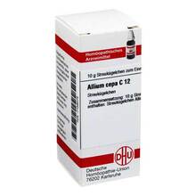 Abbildung: ALLIUM CEPA C 12 Globuli 10 g, Globuli PZN 07158075 