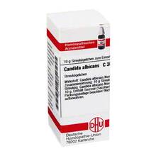Abbildung: Candida albicans C 30 Globuli 10 g, Globuli PZN 07163018 