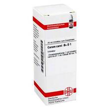 Abbildung: CARUM carvi Urtinktur D 1 20 ml, Dilution PZN 07163395 