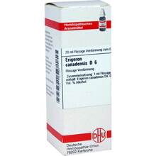 Abbildung: ERIGERON CANADENSIS D 6 Dilution 20 ml, Dilution PZN 07167364 