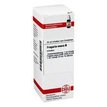 Abbildung: FRAGARIA VESCA Urtinktur 20 ml, Dilution PZN 07168263 