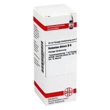 Abbildung: HELONIAS DIOICA D 6 Dilution 20 ml, Dilution PZN 07169529 