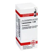 Abbildung: LAUROCERASUS C 30 Globuli 10 g, Globuli PZN 07172069 