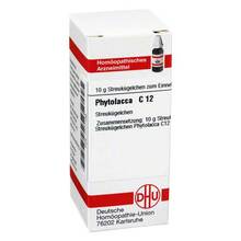 Abbildung: PHYTOLACCA C 12 Globuli 10 g, Globuli PZN 07177138 
