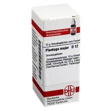 Abbildung: PLANTAGO MAJOR D 12 Globuli 10 g, Globuli PZN 07177440 