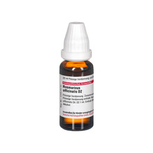 Abbildung: ROSMARINUS OFFICINALIS D 2 Dilution 20 ml, Dilution PZN 07179120 