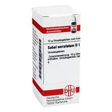 Abbildung: SABAL SERRULATUM D 1 Globuli 10 g, Globuli PZN 07179338 