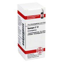 Abbildung: SPONGIA C 12 Globuli 10 g, Globuli PZN 07180531 