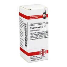 Abbildung: VESPA CRABRO D 12 Globuli 10 g, Globuli PZN 07183268 