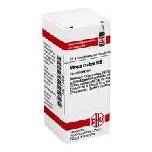 Abbildung: VESPA CRABRO D 6 Globuli 10 g, Globuli PZN 07183280 