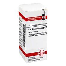 Abbildung: CARDIOSPERMUM D 30 Globuli 10 g, Globuli PZN 07246738 