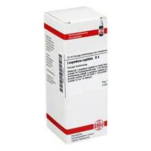 Abbildung: LESPEDEZA CAPITATA D 4 Dilution 50 ml, Dilution PZN 07248223 