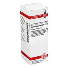 Abbildung: LESPEDEZA CAPITATA D 6 Dilution 20 ml, Dilution PZN 07248269 
