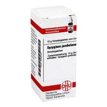 Abbildung: Syzygium jambolanum D 4 Globuli 10 g, Globuli PZN 07249754 
