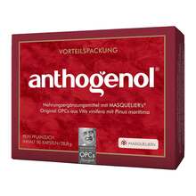 Abbildung: Opc Original Masqueliers Anthogenol Kapseln 90 St, Kapseln PZN 07321902 