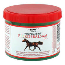  PZN 07355752 500 ml, Gel