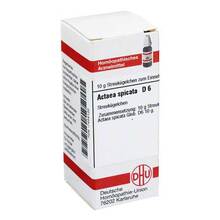 Abbildung: ACTAEA SPICATA D 6 Globuli 10 g, Globuli PZN 07454135 