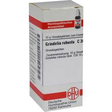 Abbildung: Grindelia robusta C 30 Globuli 10 g, Globuli PZN 07456938 