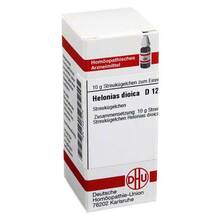 Abbildung: HELONIAS DIOICA D 12 Globuli 10 g, Globuli PZN 07457174 