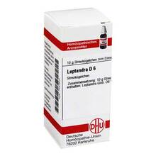 Abbildung: LEPTANDRA D 6 Globuli 10 g, Globuli PZN 07457814 