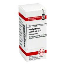 Abbildung: Phellandrium Aquaticum D 6 Globuli 10 g, Globuli PZN 07459026 