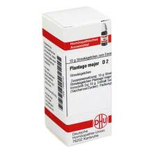 Abbildung: PLANTAGO MAJOR D 2 Globuli 10 g, Globuli PZN 07459144 