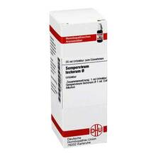 Abbildung: SEMPERVIVUM tectorum Urtinktur 20 ml, Dilution PZN 07459776 