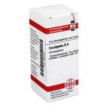 Abbildung: EUCALYPTUS D 6 Globuli 10 g, Globuli PZN 07595456 