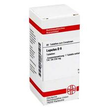 Abbildung: LUPULUS D 6 Tabletten 80 St, Tabletten PZN 07596243 
