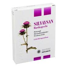 Abbildung: Silvaysan Kapseln 20 St, Kapseln PZN 08440483 