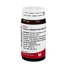 Abbildung: Arnica E Planta tota D 20 Globuli 20 g, Globuli PZN 08783852 