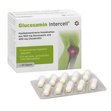 Abbildung: GLUCOSAMIN INTERCELL Kapseln 120 St, Kapseln PZN 09627574 