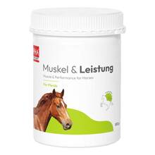 Abbildung: Pha Muskel & Leistung Pulver für Pferde 850 g, Pulver PZN 09670699 
