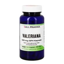 Abbildung: Valeriana 120 mg Gph Kapseln 120 St, Kapseln PZN 09749260 