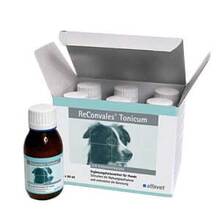 Abbildung: Reconvales Tonicum für Hunde 6X90 ml, Tonikum PZN 10172624 