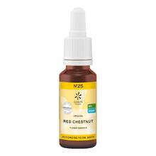 Abbildung: Bachblüten No.25 Red Chestnut Bio 20 ml PZN 10310747 