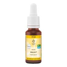 Abbildung: Bachblüten No.33 Walnut Bio 20 ml PZN 10310842 