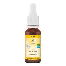 Abbildung: Bachblüten No.36 Wild Oat Bio 20 ml PZN 10310871 