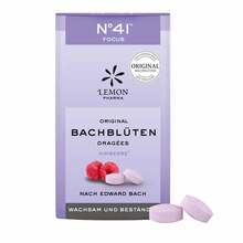 Abbildung: Bachblüten No.41 Konzentration Dragees n.Dr.Bach 21 g, Dragees PZN 10519884 