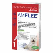 Abbildung: Amflee 67 mg Spot-on Lösung für kleine Hunde 2-10kg 3 St, Lösung PZN 11099792 