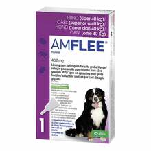 Abbildung: Amflee 402 mg Spot-on Lösung für sehr größe Hunde 40-60kg 3 St, Lösung PZN 11099869 