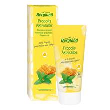 Abbildung: Propolis Aktivsalbe 30 ml, Salbe PZN 11158543 
