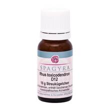 Abbildung: Rhus Toxicodendronicodendron D 12 Globuli 10 g, Globuli PZN 11187272 