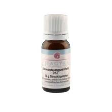 Abbildung: ECHINACEA ANGUSTIFOLIA D 12 Globuli 10 g, Globuli PZN 11187326 