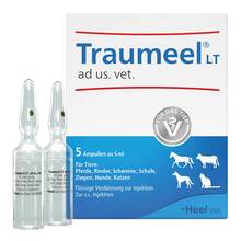  PZN 11240641 5X5 ml, Ampullen